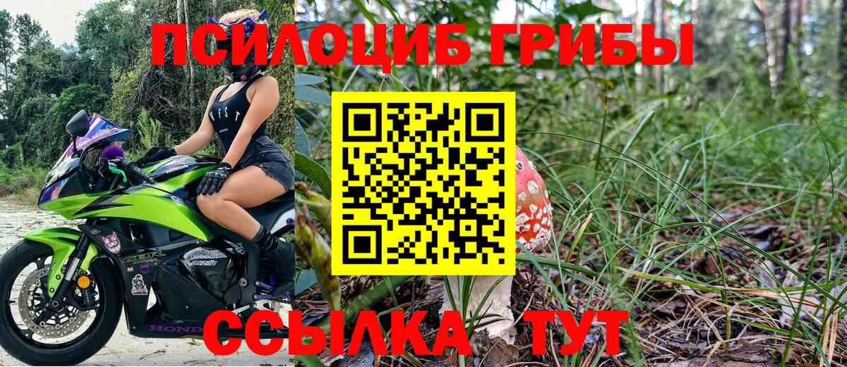 Ярцево  Галлюциногенные грибы Psilocybine cubensis  Вход с VPN 